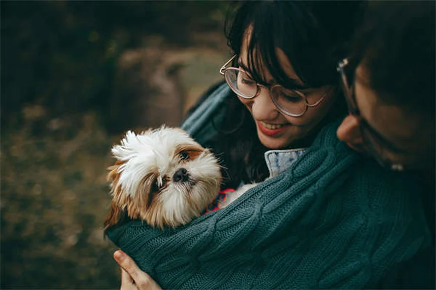 Oriental Rat Fleas: 5 Dangerous Facts You Need to Know